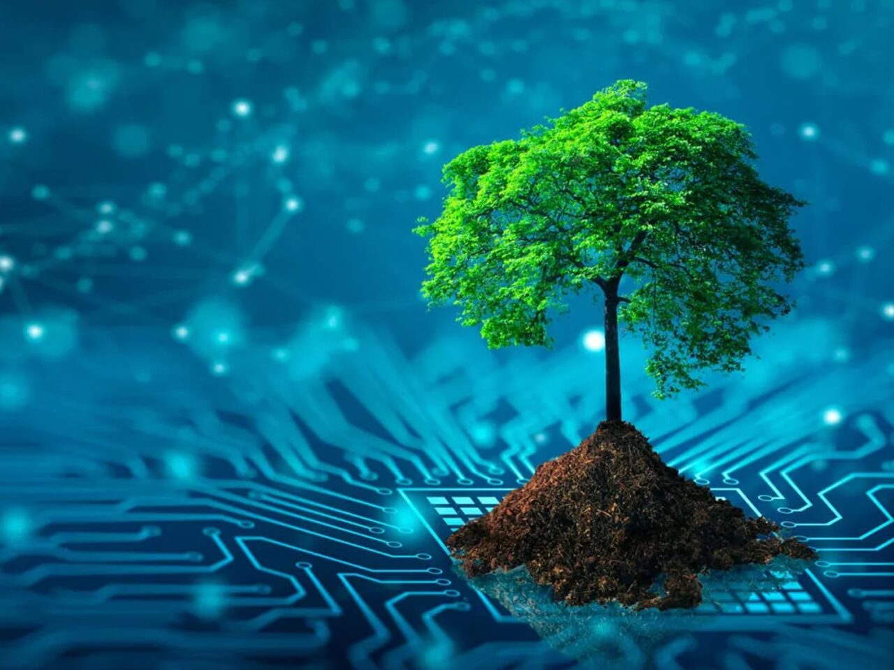 https://incneo.com/wp-content/uploads/2025/05/Screenshot-2025-02-17-161318-1280x960.jpg